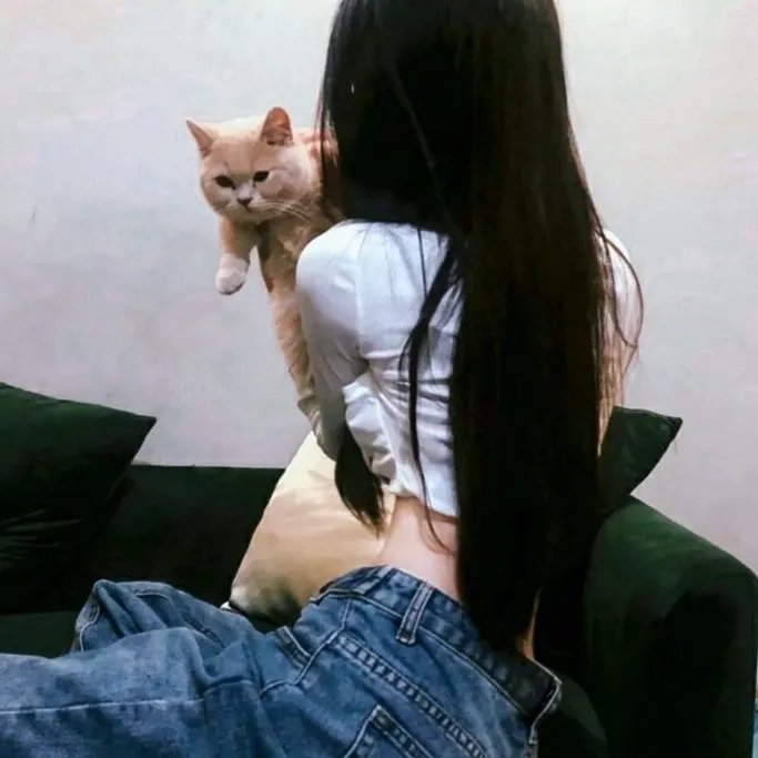 原来你是这样的顾先生